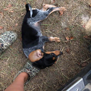 Meet your Posher, Leann